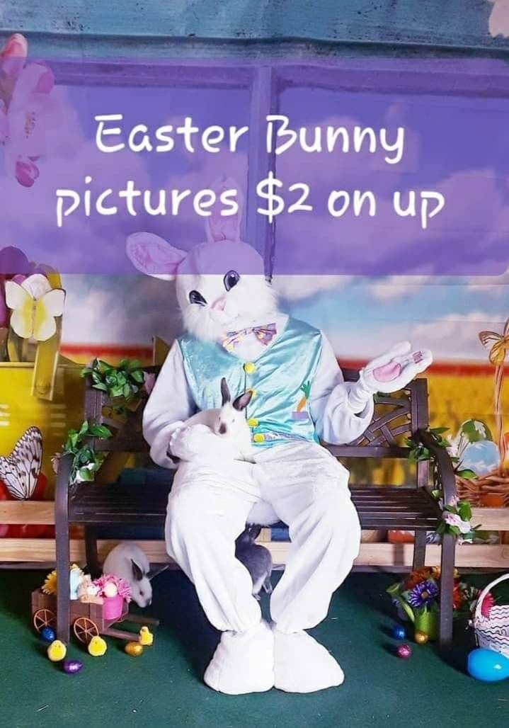 Easter Bunny Pics.jpg