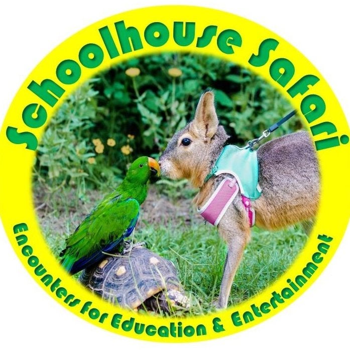 Schoolhouse Safari.jpg